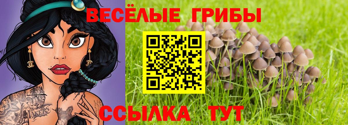 Галлюциногенные грибы GOLDEN TEACHER  как найти наркотики  Стрежевой  Вход с VPN 