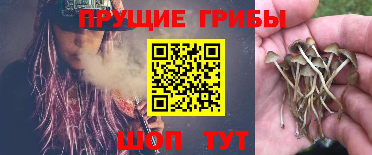 Галлюциногенные грибы MAGIC MUSHROOMS Стрежевой
